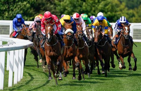 bet365 com au darwin|Australian Racing .